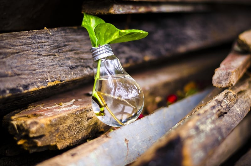 Sustainable Upcycling Projects